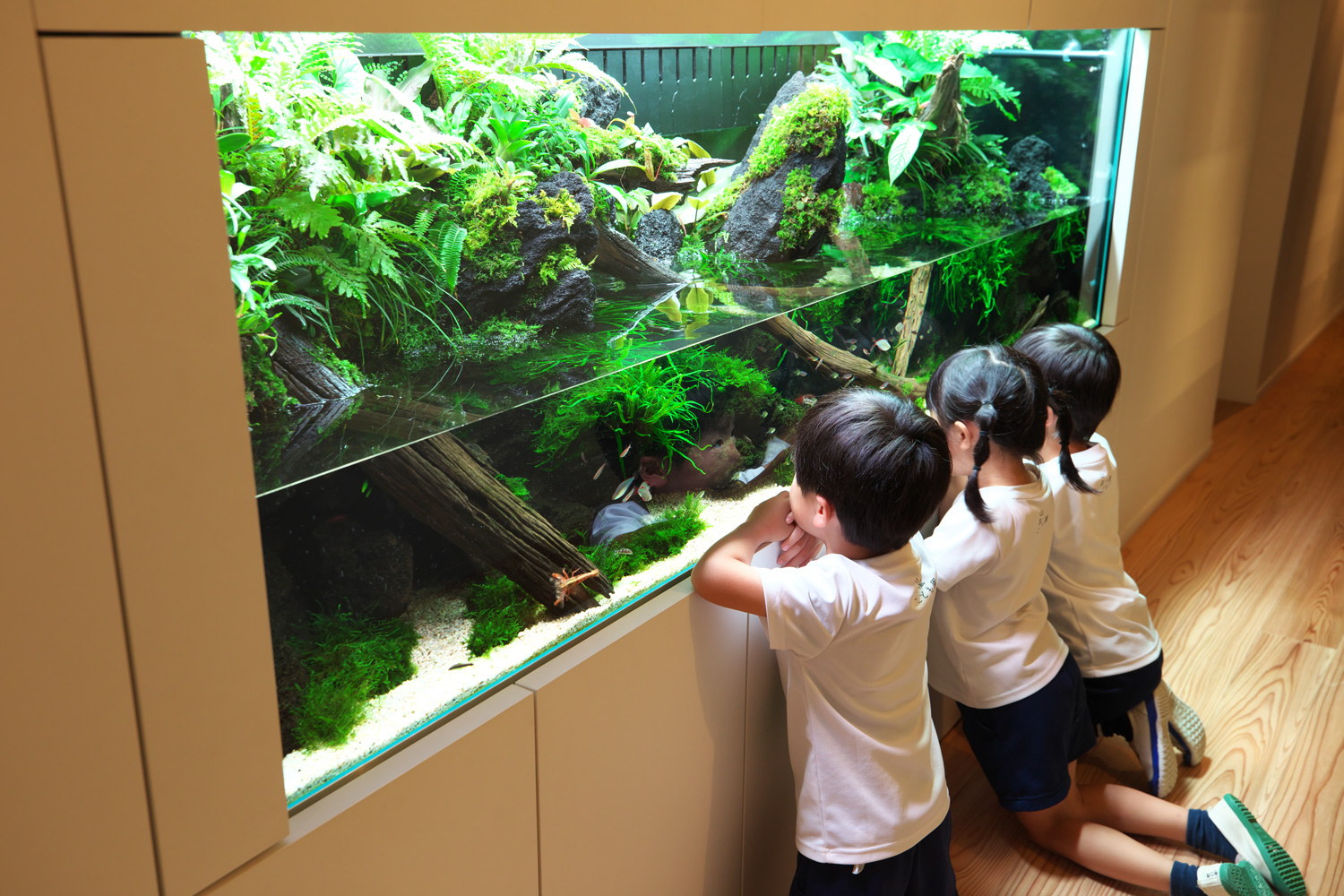 Nature In The Glass 水辺のふしぎな世界 Aqua Design Amano