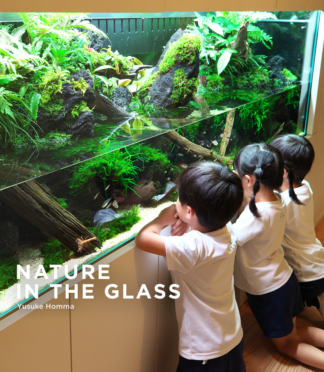 NATURE IN THE GLASS 「水辺のふしぎな世界」