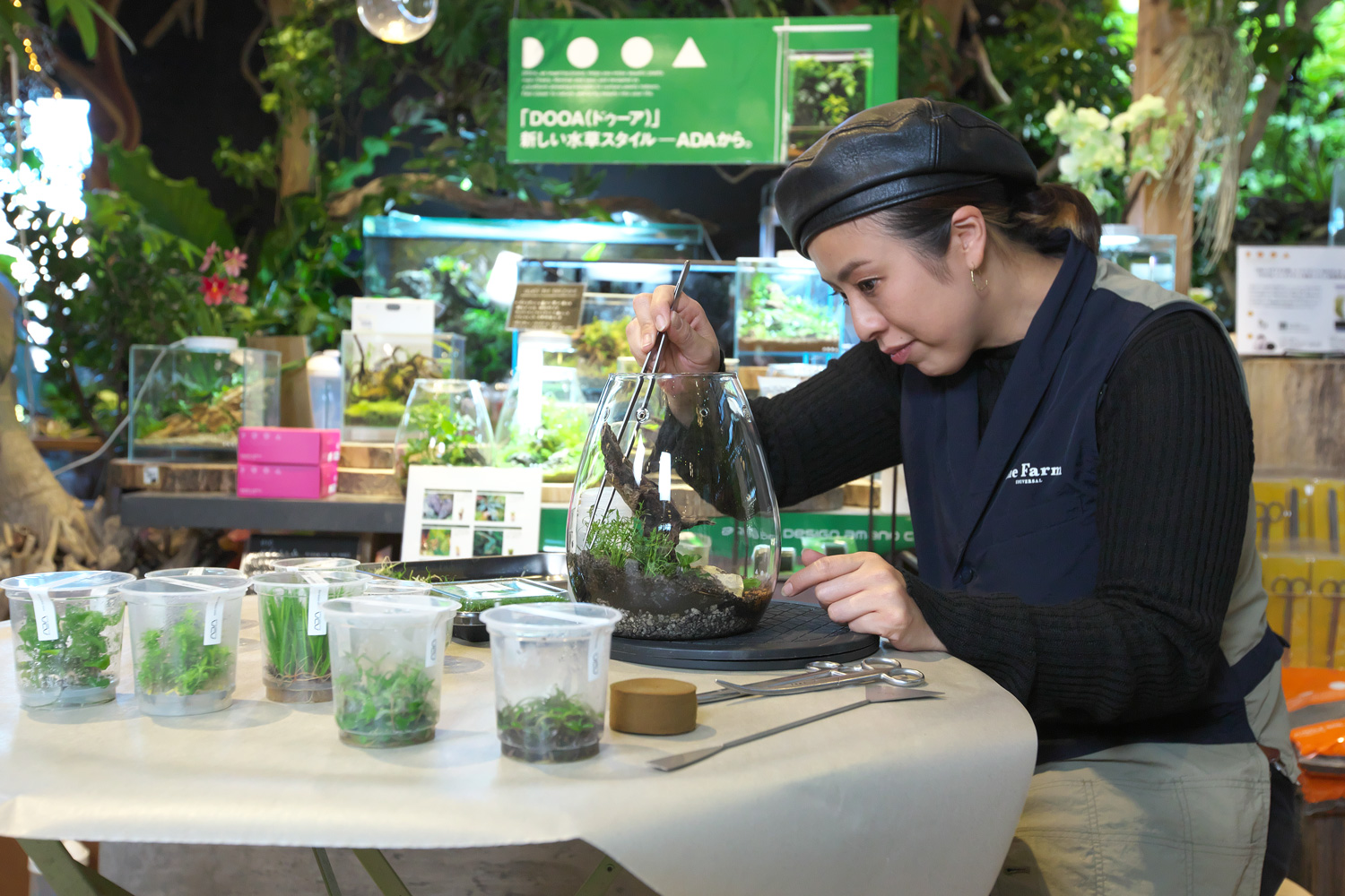 ガラスポットSHIZUKUに水草を植える笠原さん