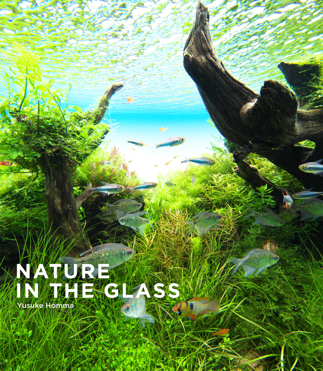 NATURE IN THE GLASS 「春を謳う」