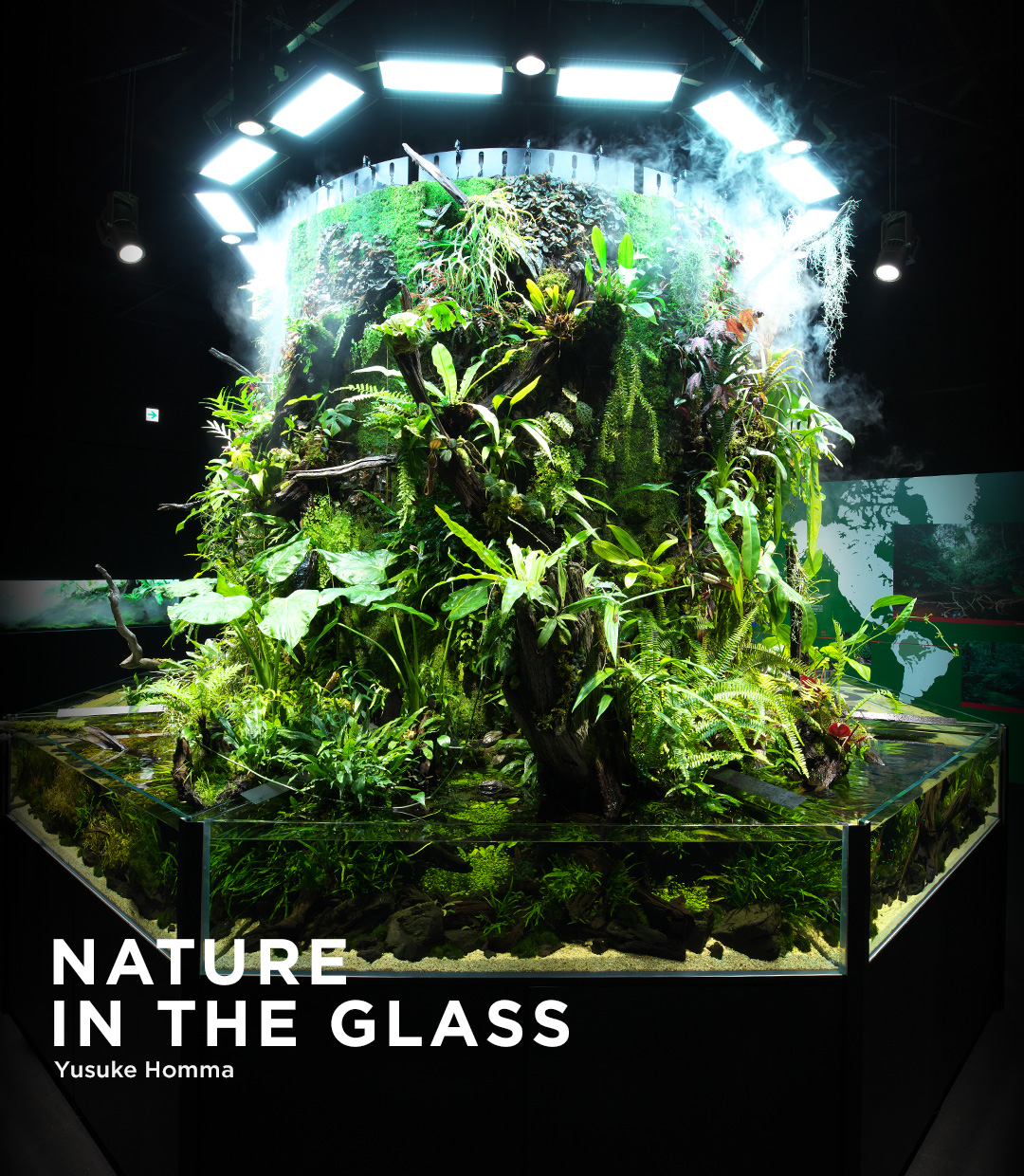 NATURE IN THE GLASS 「熱帯雨林への誘い」