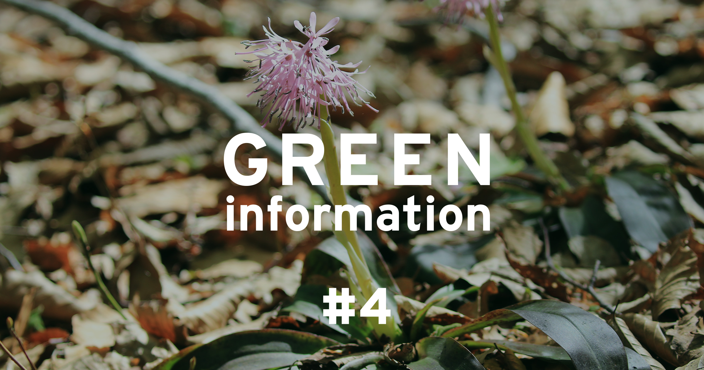 GREEN information #4「植物育成を長く楽しむために」