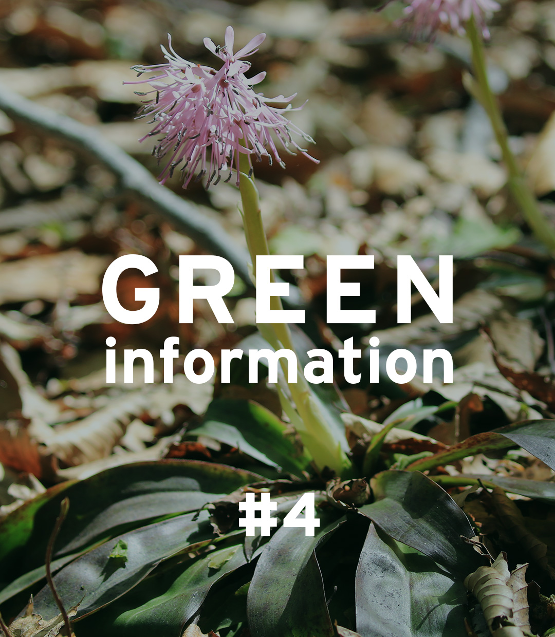 GREEN information #4「植物育成を長く楽しむために」