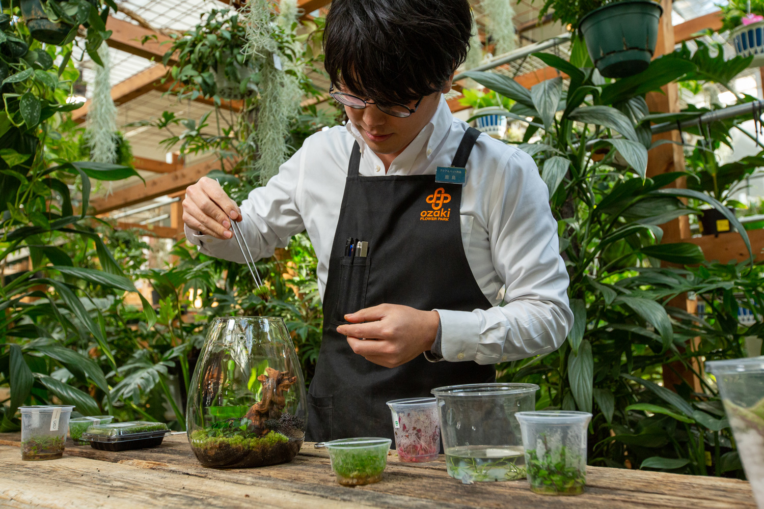 ピンセットで植物を植える鹿島さん