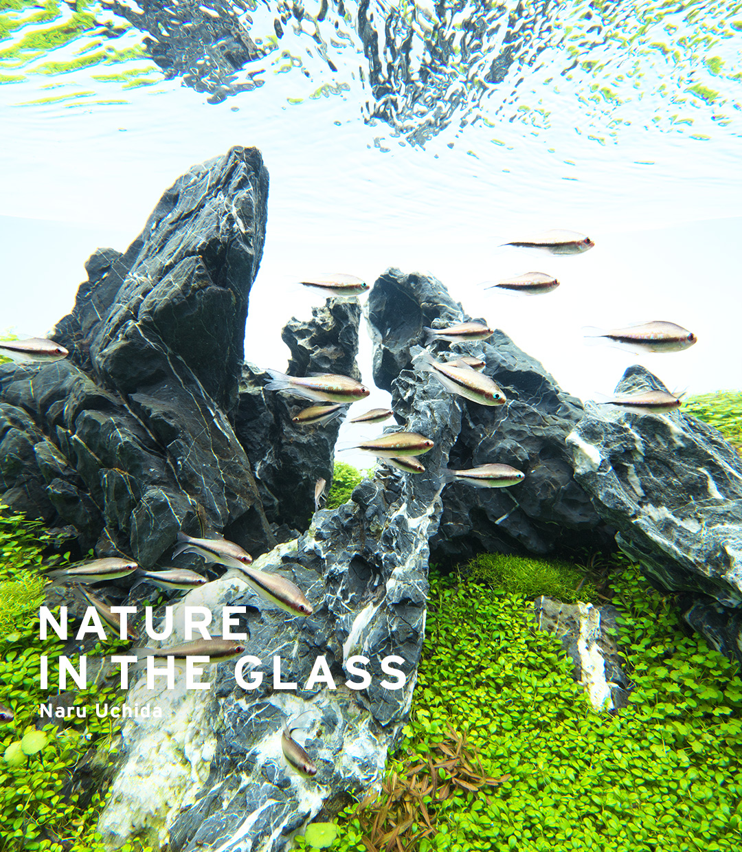 NATURE IN THE GLASS 「集い岩」