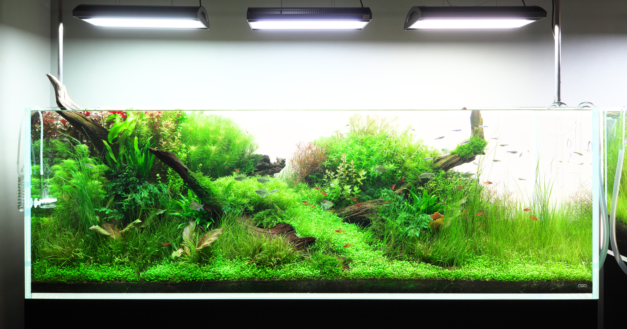 未使用自宅保管ADA NATURE AQUARIUM