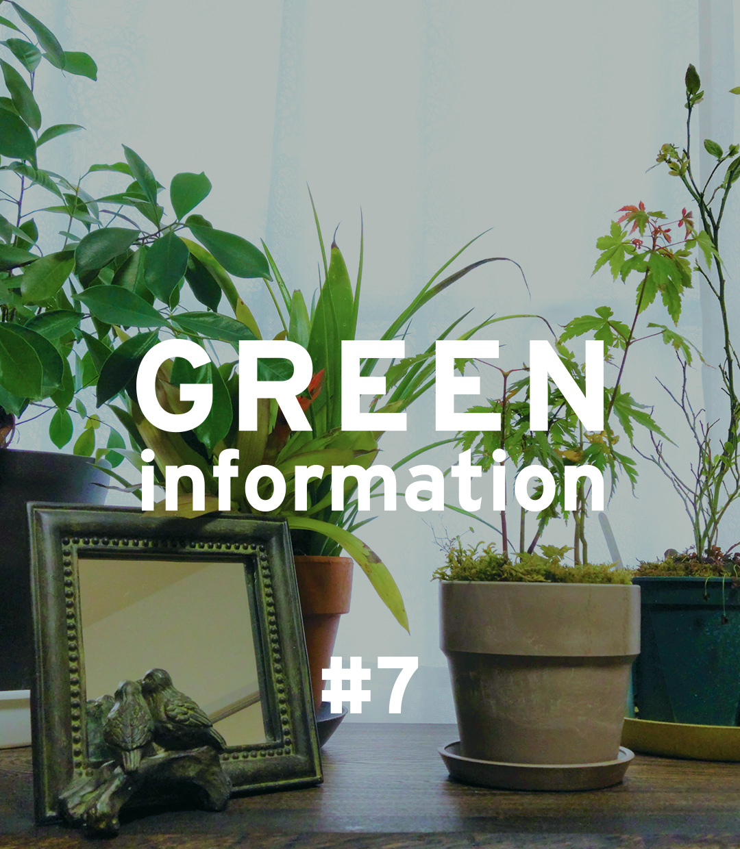 GREEN information #7「植物栽培を長く楽しむために」