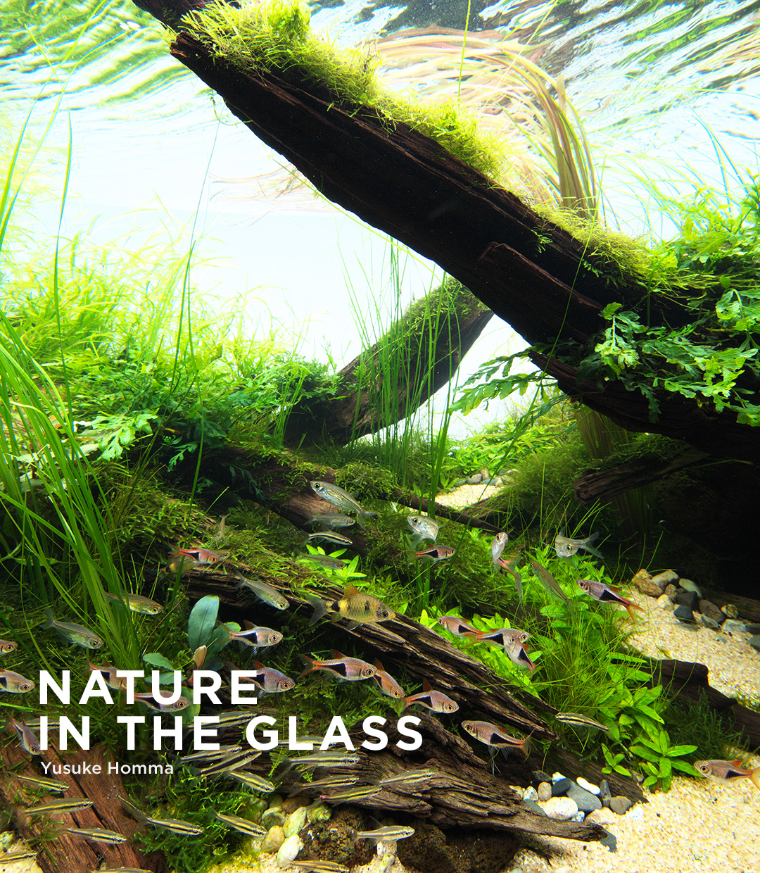 NATURE IN THE GLASS 「生命をつなぐ」