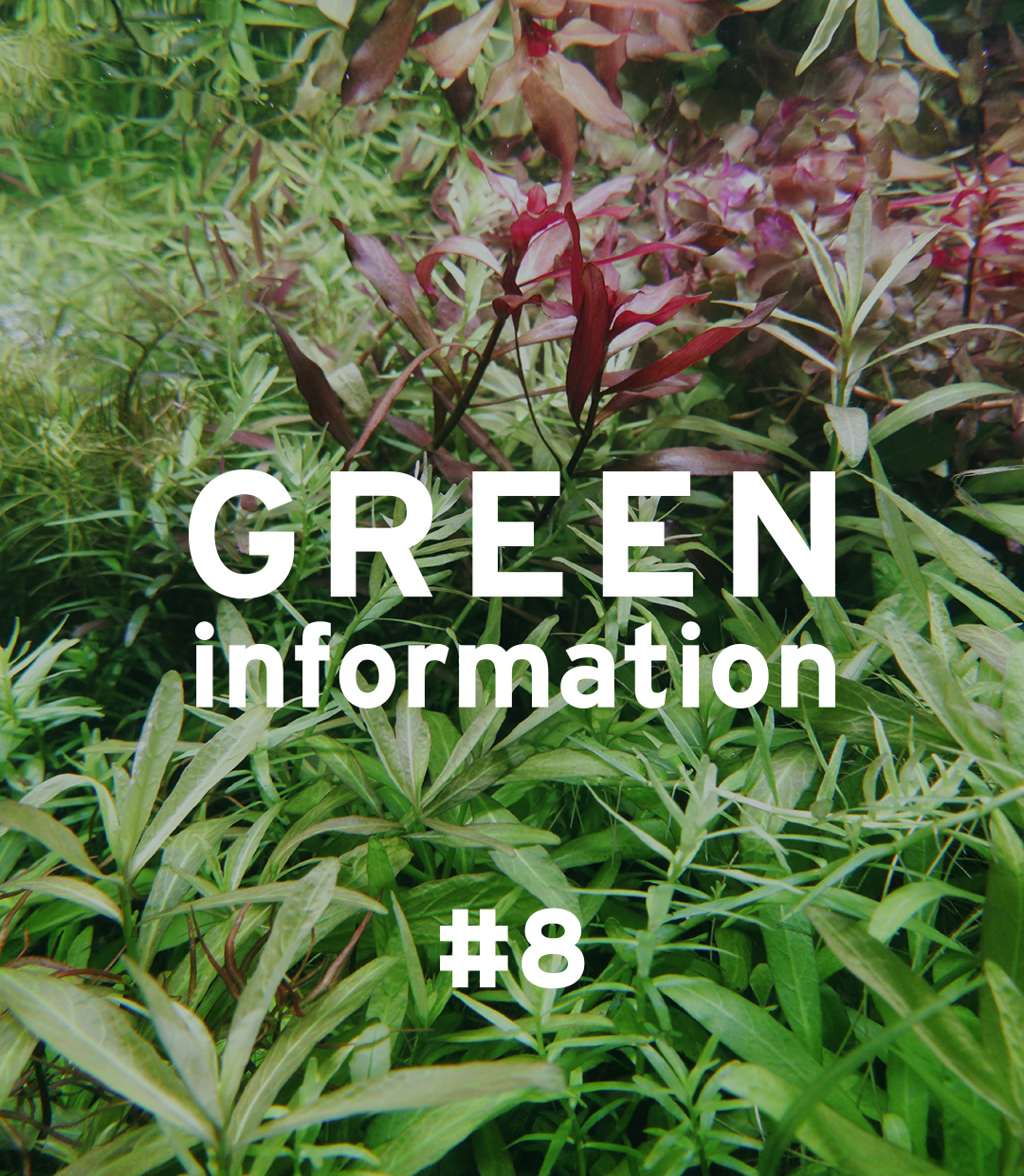 GREEN information #8「身近な自然への配慮」