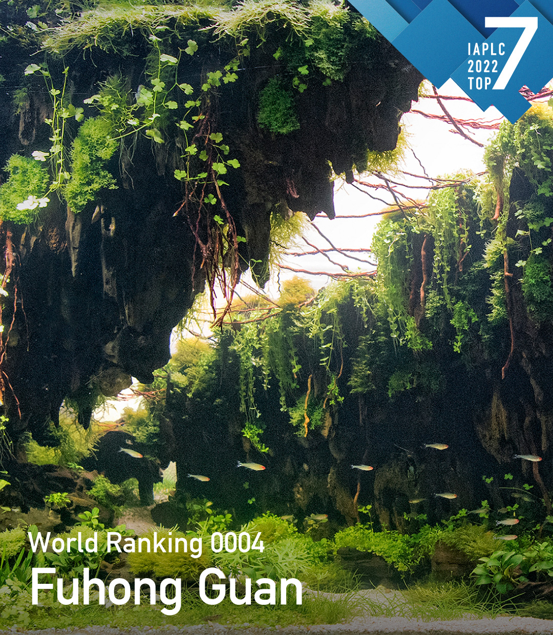 IAPLC 2022 TOP7 #04 「Fuhong Guan」