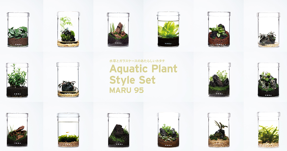 Aquatic Plant Style Set MARU 95 発売のお知らせ | AQUA DESIGN AMANO