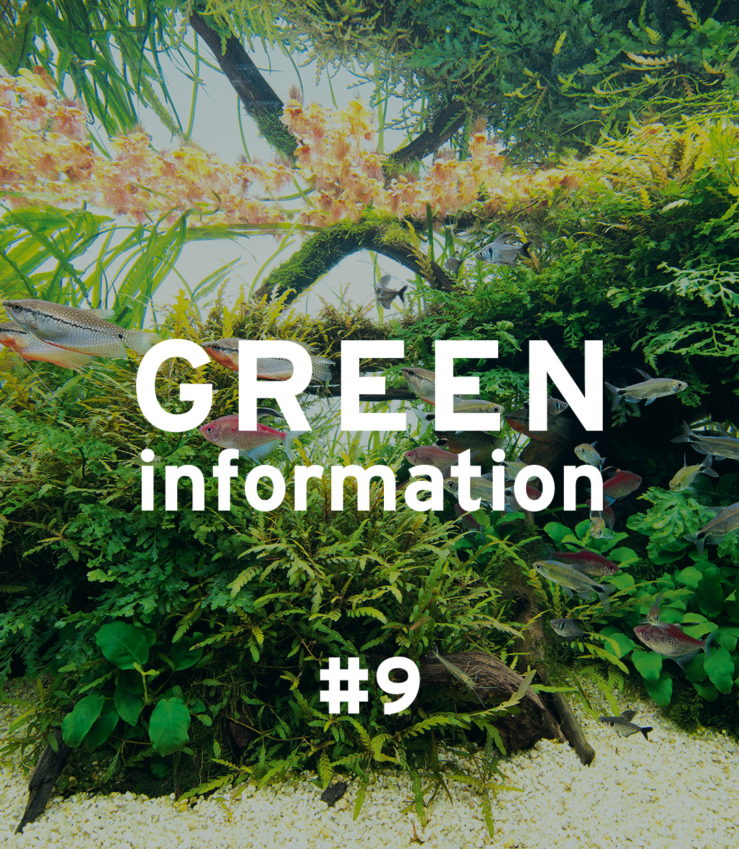 GREEN information #9「環境流出を防ぐ取り組み」