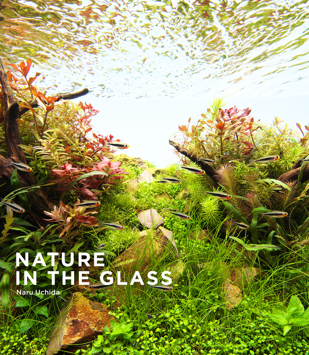 NATURE IN THE GLASS 「あの丘の向こうに」