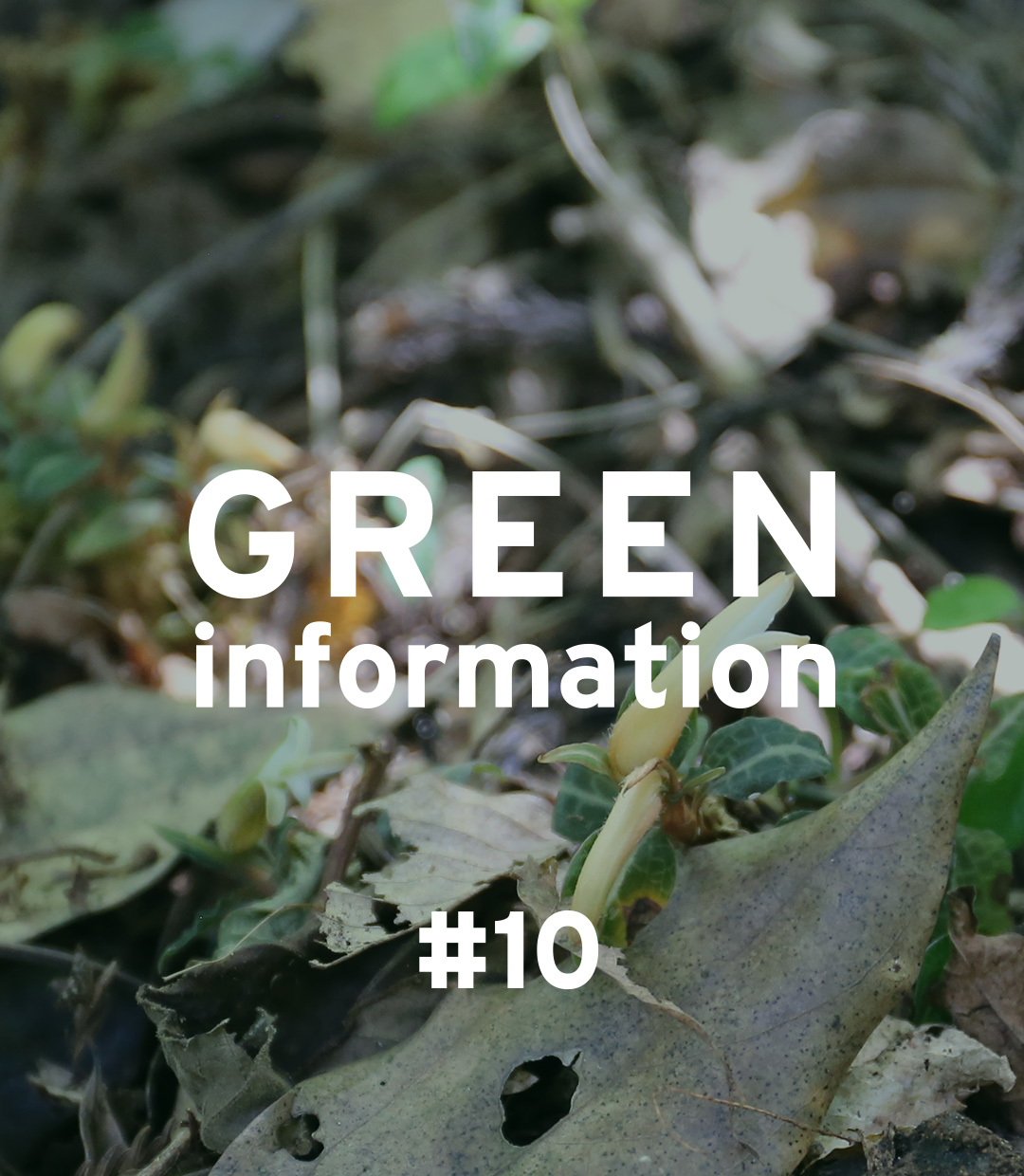 GREEN information #10「生き物との関わり方 ～種の保存法について～」