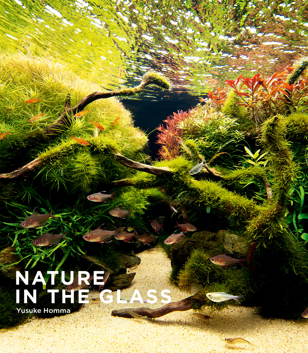 NATURE IN THE GLASS 「 夏風あざやか」