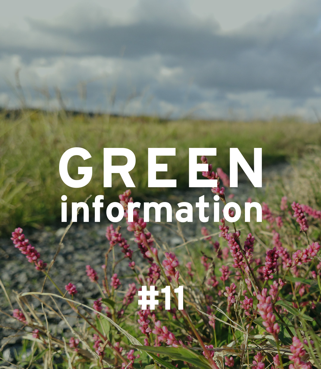 GREEN information #11「身近な自然への意識」