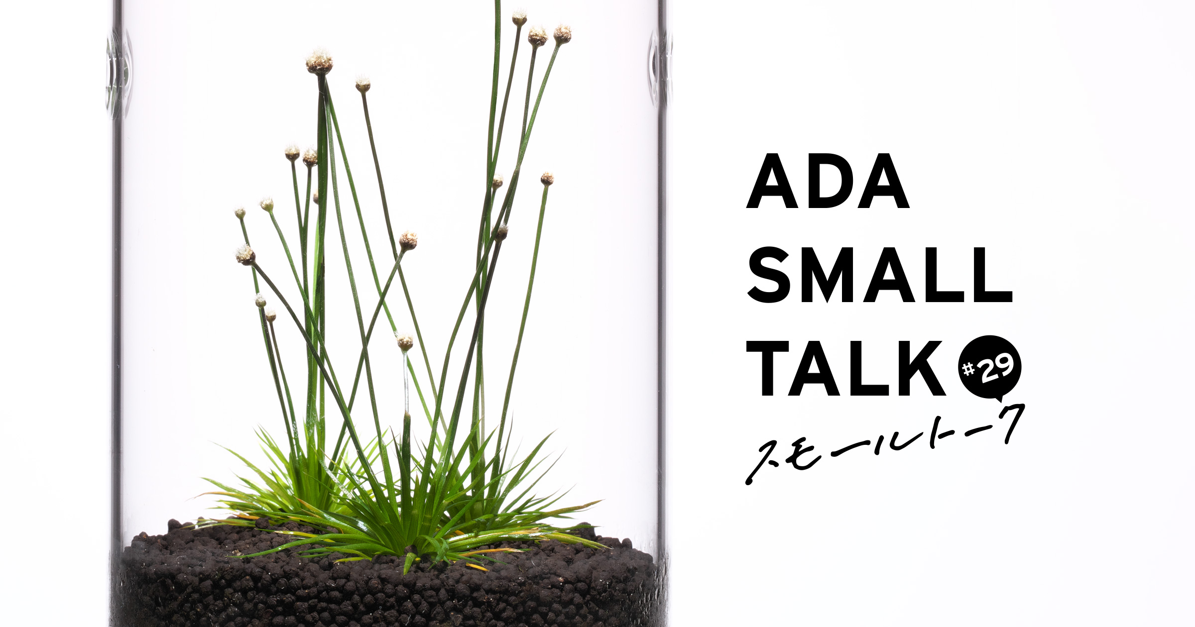 ADAスモールトーク #29 「手軽に身近にグリーンを楽しむ」 | AQUA