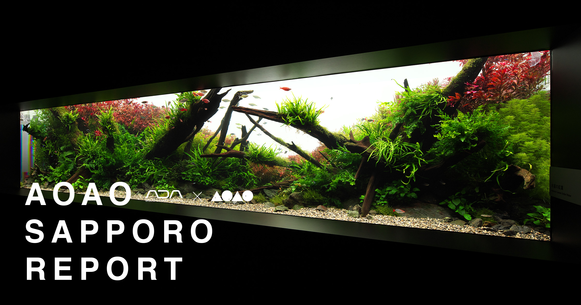 AOAO SAPPORO REPORT 01 | AQUA DESIGN AMANO
