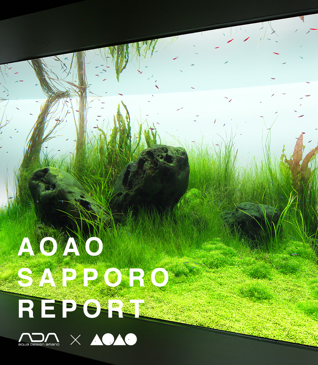 REPORT | AQUA DESIGN AMANO