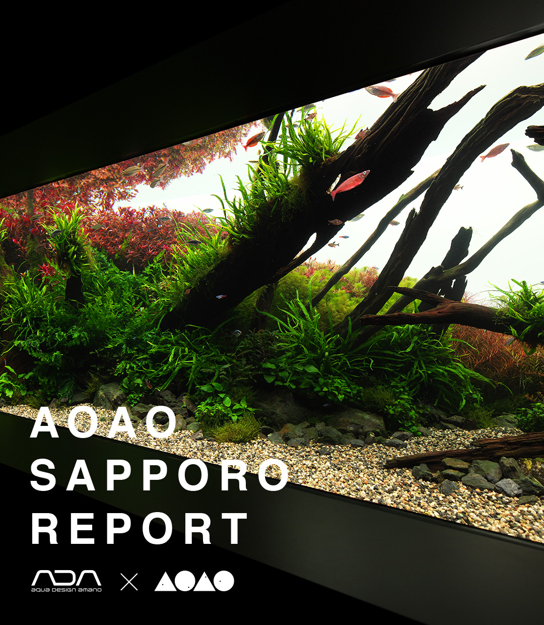 AOAO SAPPORO REPORT 01