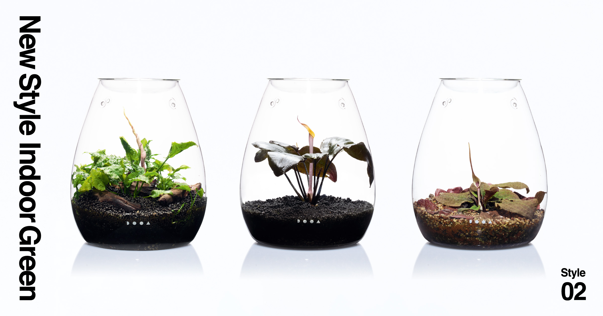 【美品】パガ－二デザイン、タイプ、アクアテラ シチズンサマーウォッチフェア2023｜NAKAISHU鳥取・倉吉