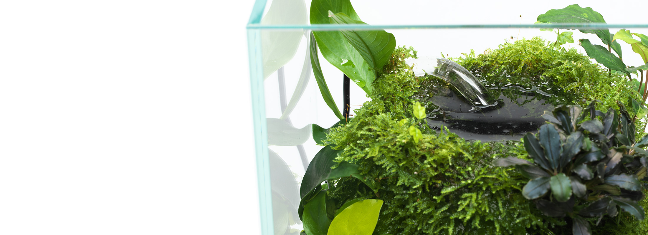 New Style Indoor Green – Style03