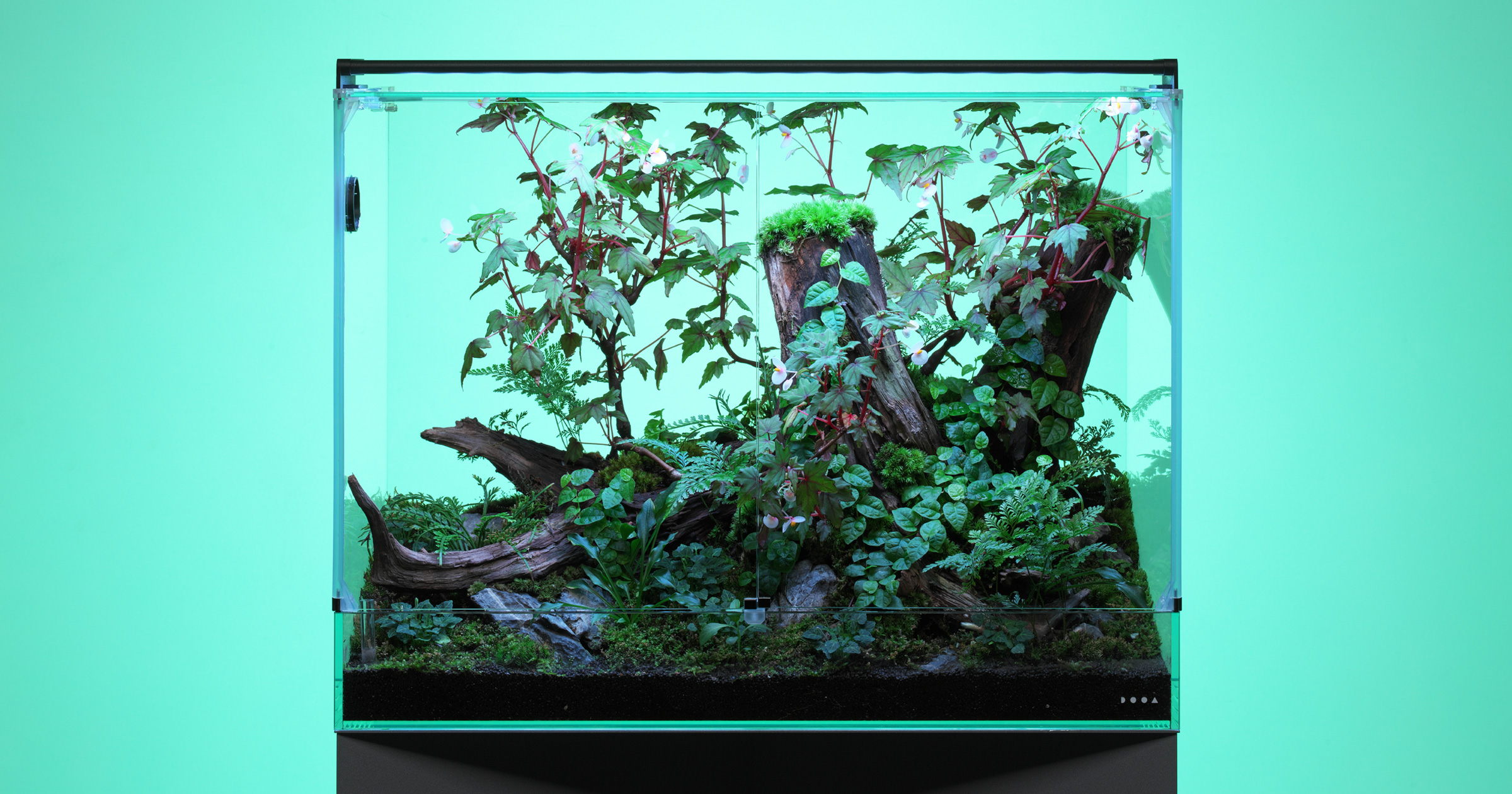 LOVE ADA GOODS #08 「ボトムレリーズ」 | AQUA DESIGN AMANO