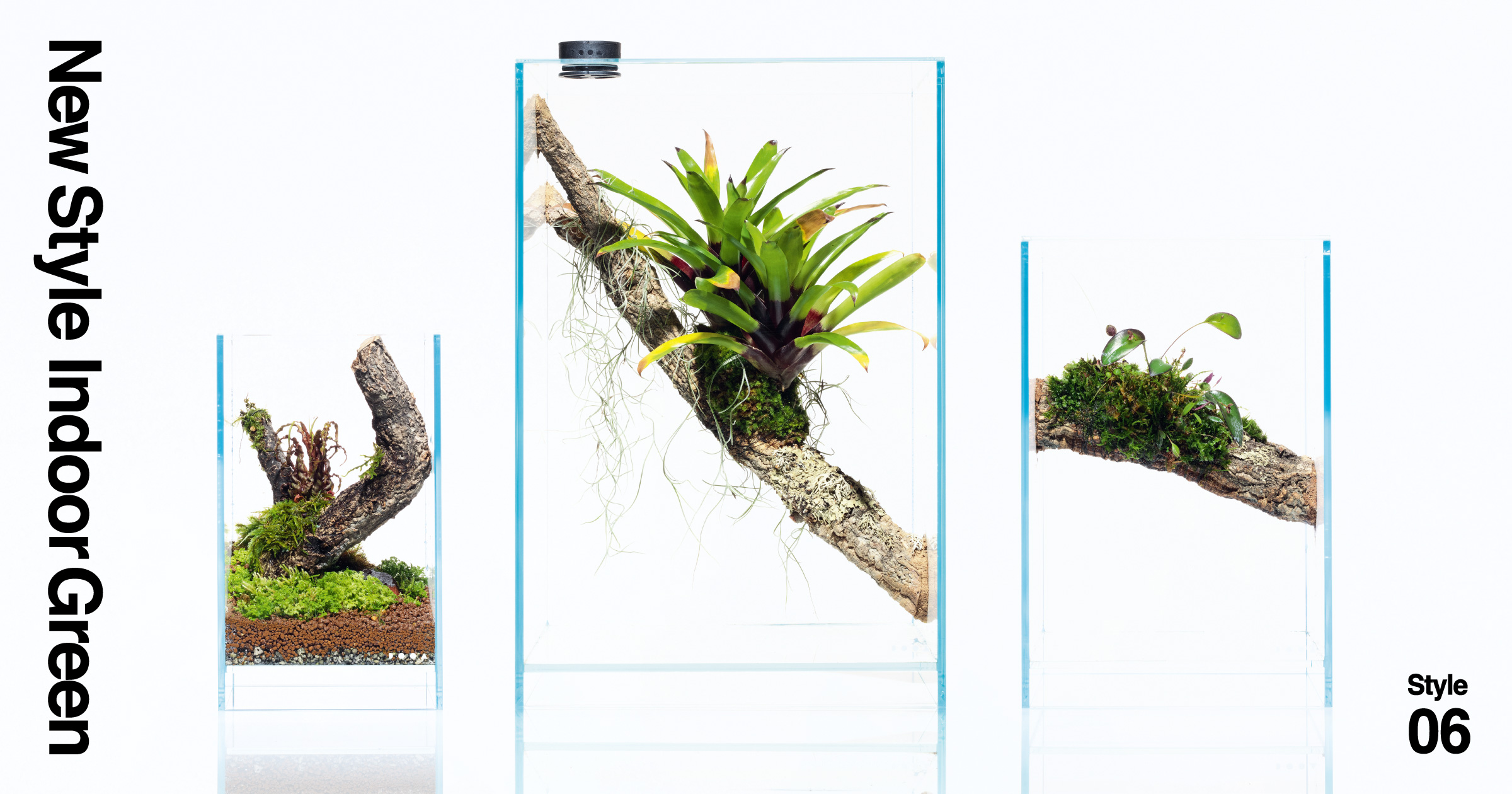 New Style Indoor Green – Style06 | AQUA DESIGN AMANO New Style Indoor Green – Style06 | AQUA DESIGN AMANO