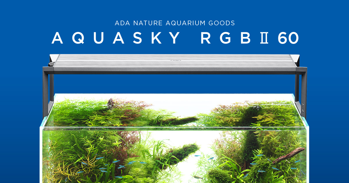 SEARCH | AQUA DESIGN AMANO