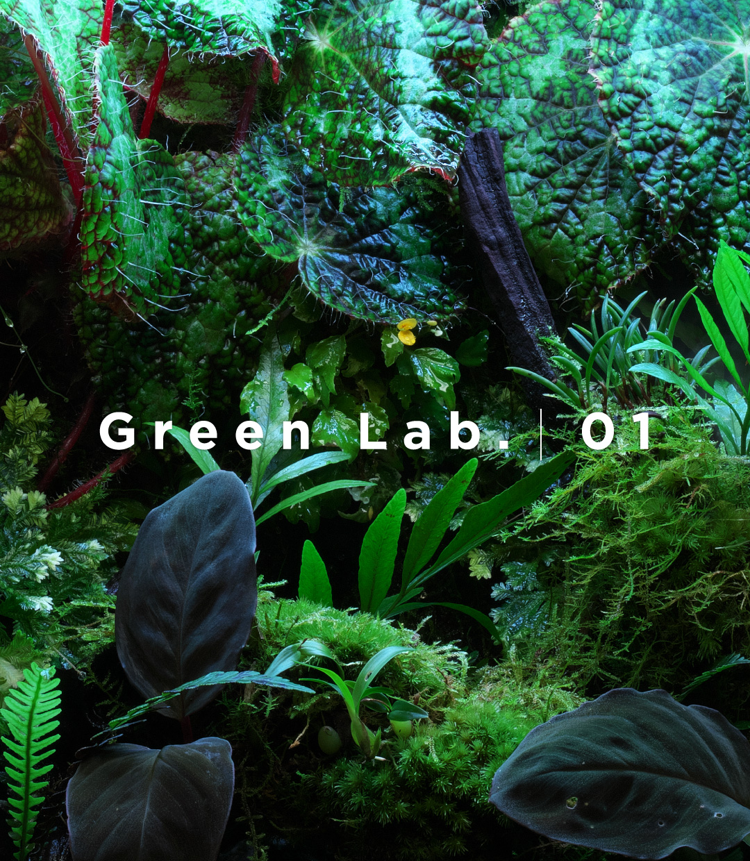 Green Lab. #01 ［ アンブラの沼 ］