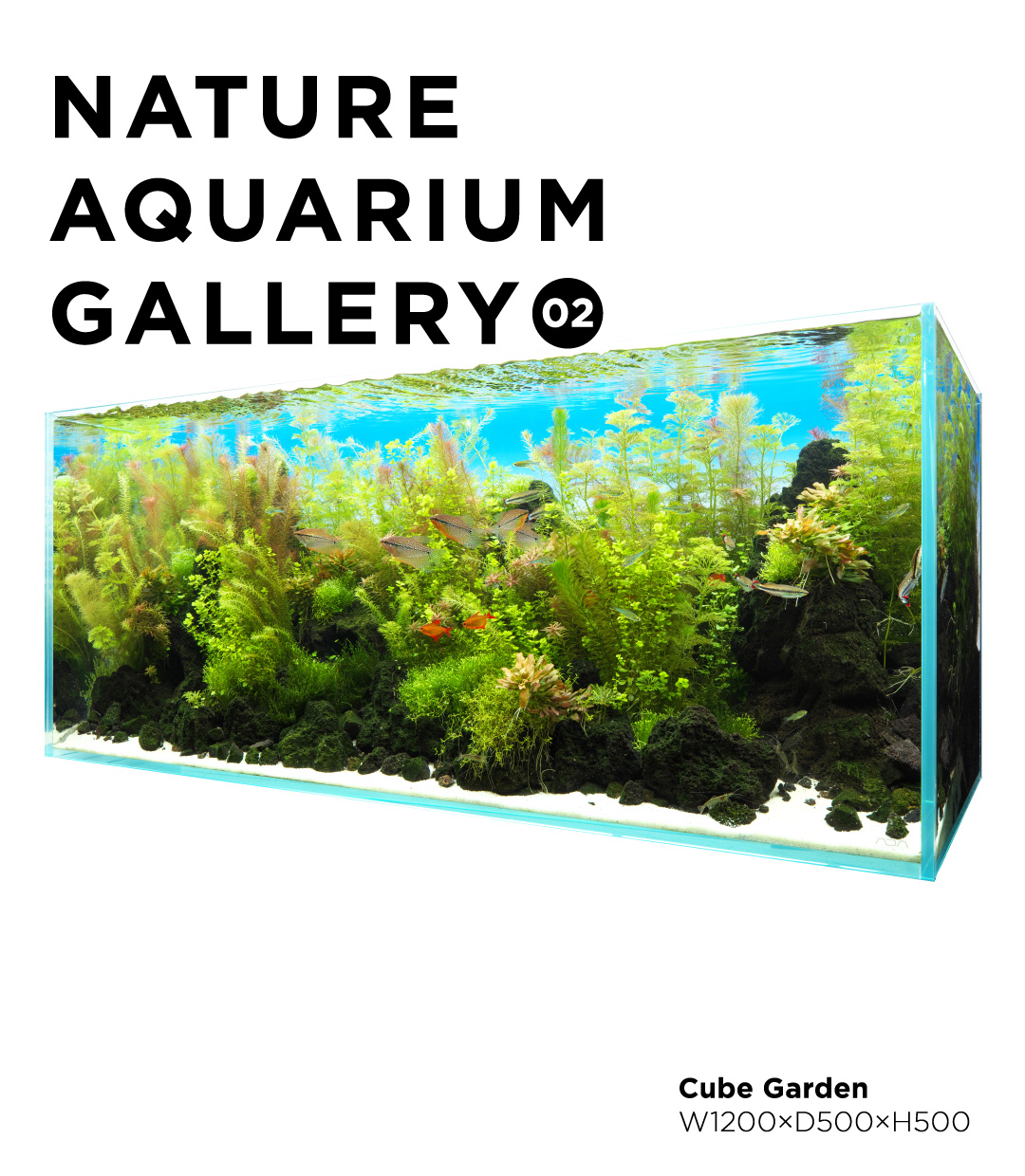 NATURE AQUARIUM GALLERY #02 「ザナドゥ」