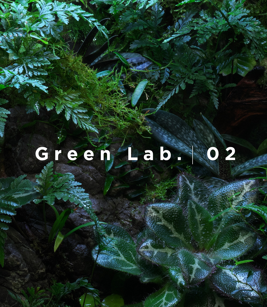 Green Lab. #02 ［ カルストクライマー ］