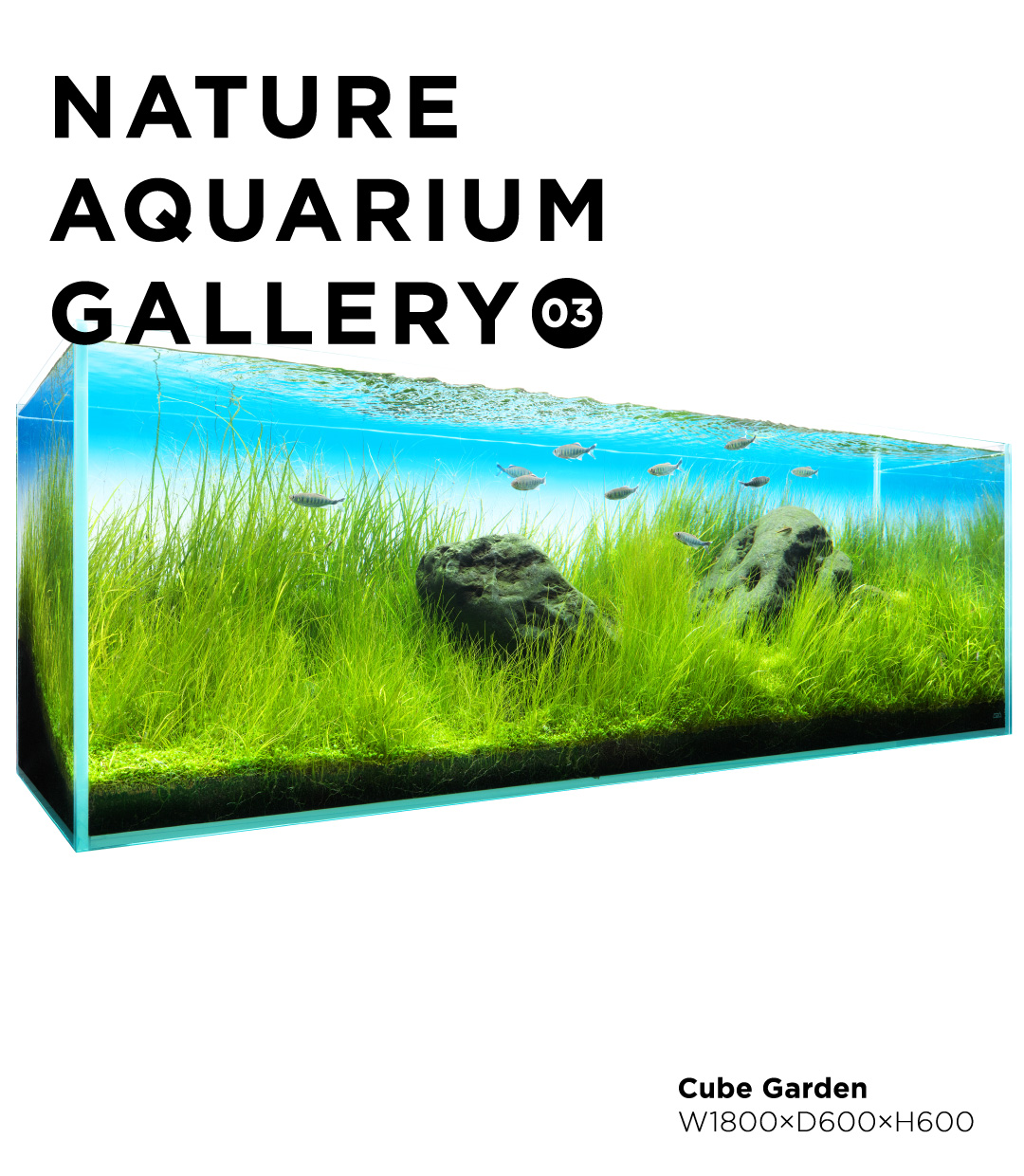 NATURE AQUARIUM GALLERY #03 「清流になびく」