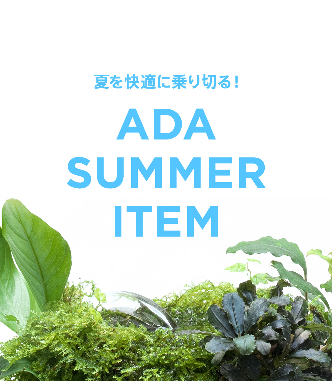 夏を快適に乗り切る！ADAアイテム4選