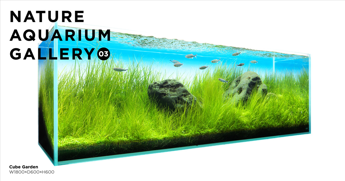 ADA  アマノ　NATUREAQUARIUMGOODS ADA LAB TOKYO 4月20日オープン | ADA - NEWS RELEASE