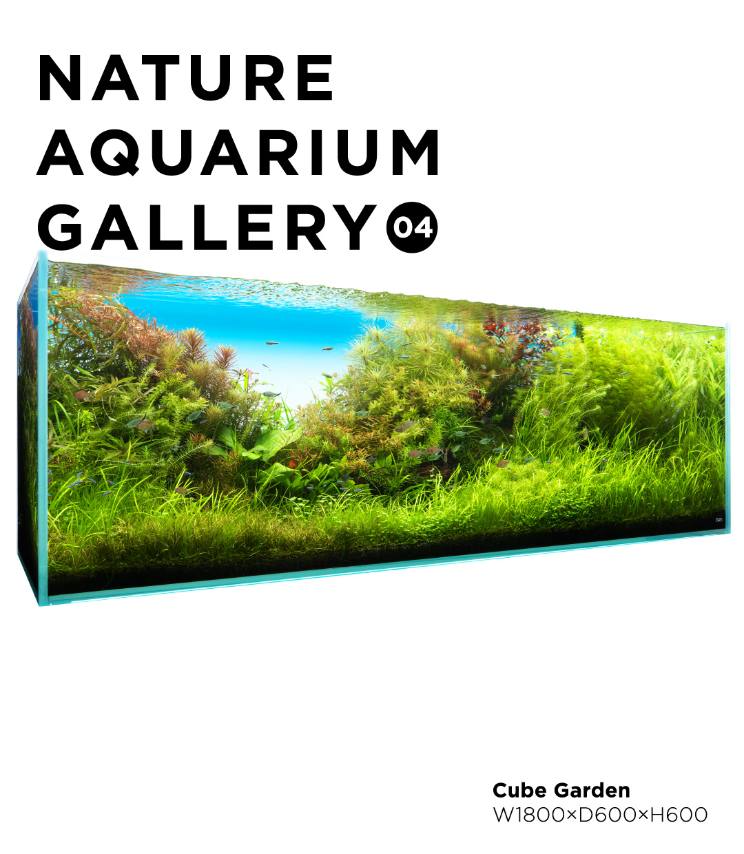 NATURE AQUARIUM GALLERY #04 「風光る」