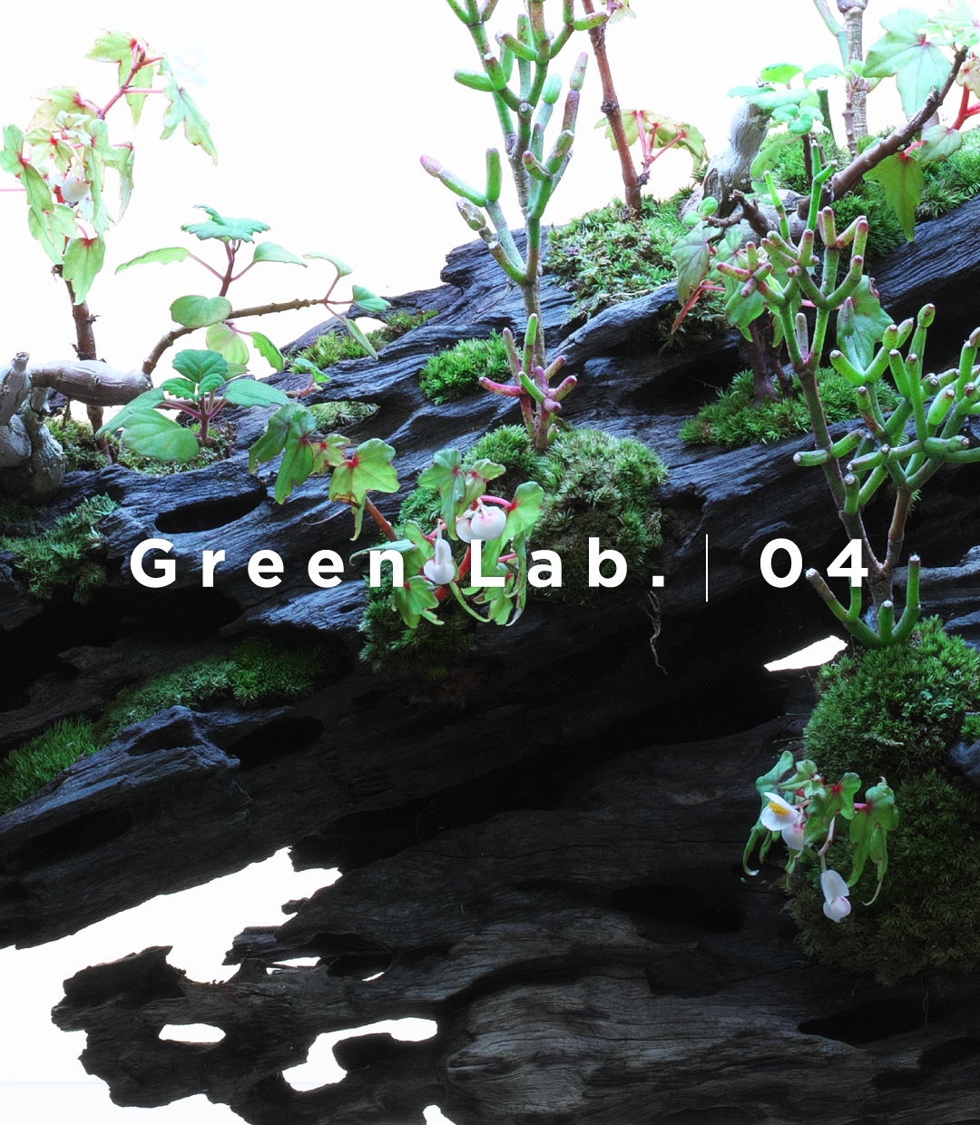 Green Lab. #04 ［ 再び潤うまで ］