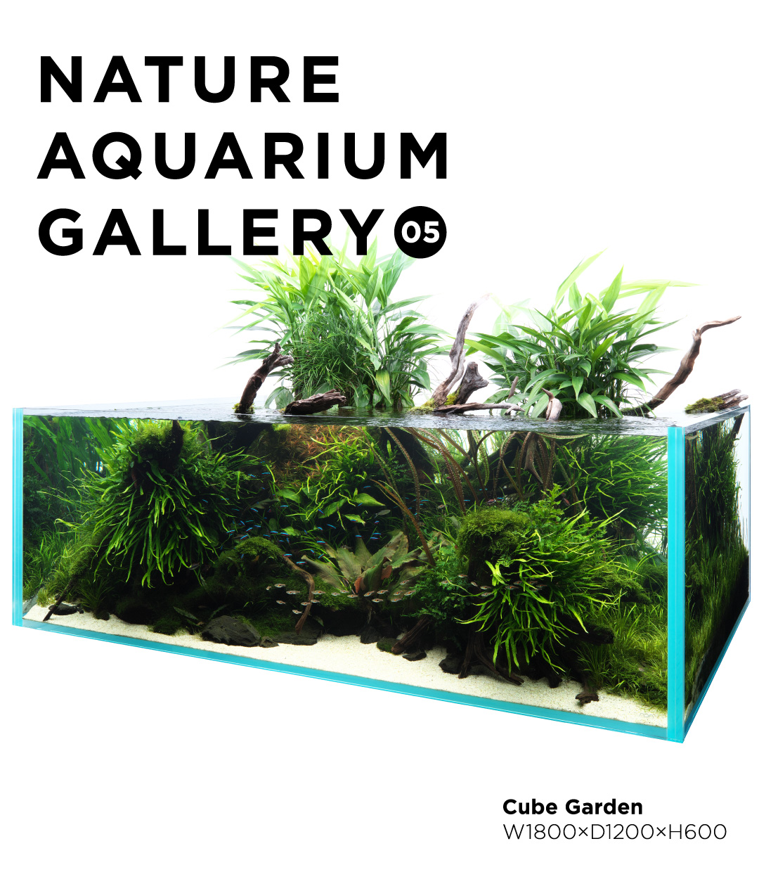 NATURE AQUARIUM GALLERY #05 「悠久と生命」