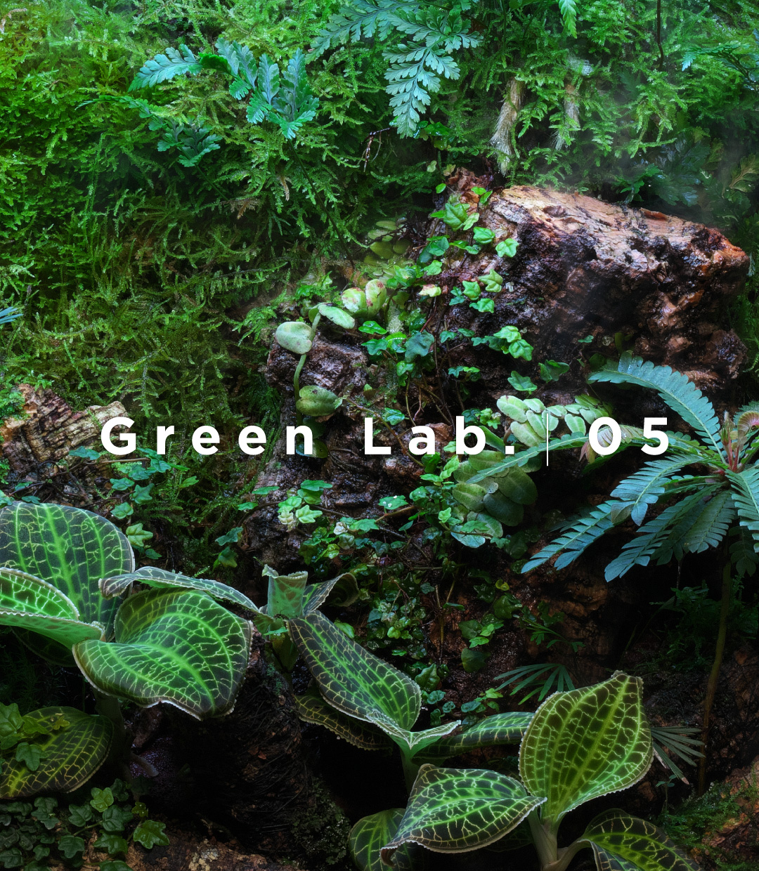 Green Lab. #05 ［ 林床に輝く宝石たち ］