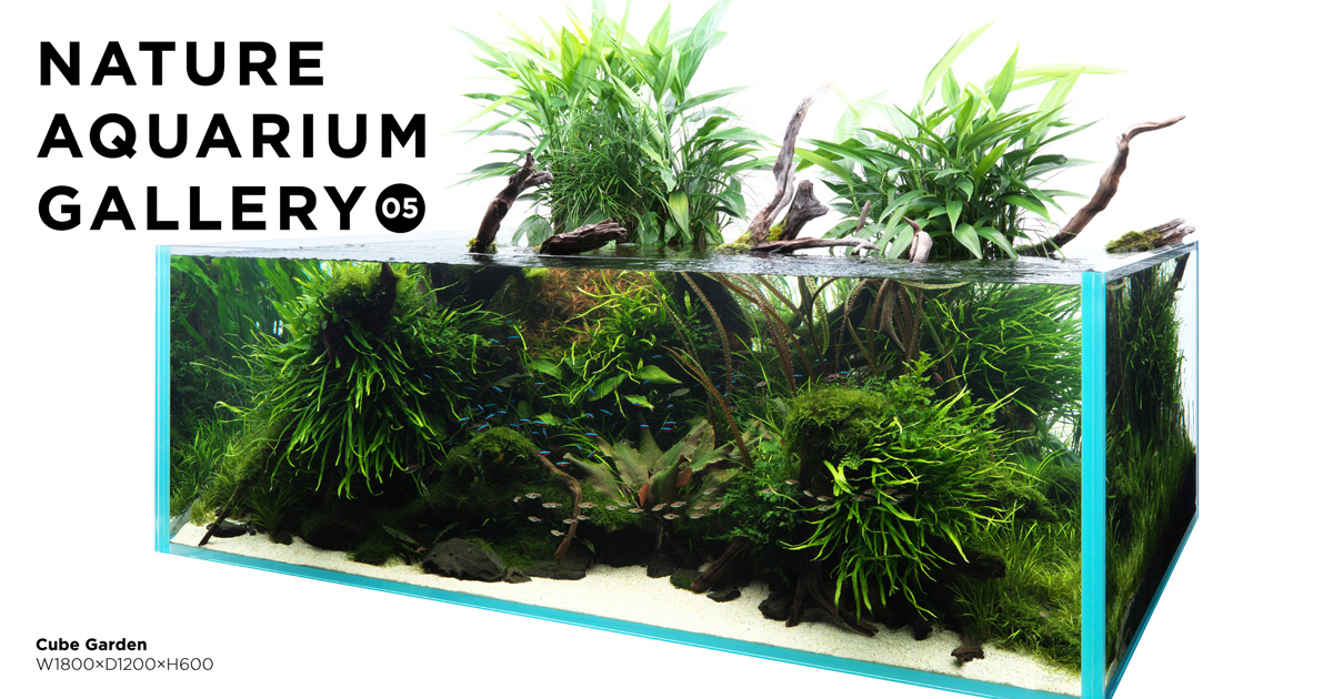 専用　アクアデザインアマノ Nature Aquarium World 作品集 専用 アクアデザインアマノ Nature Aquarium World 作品集
