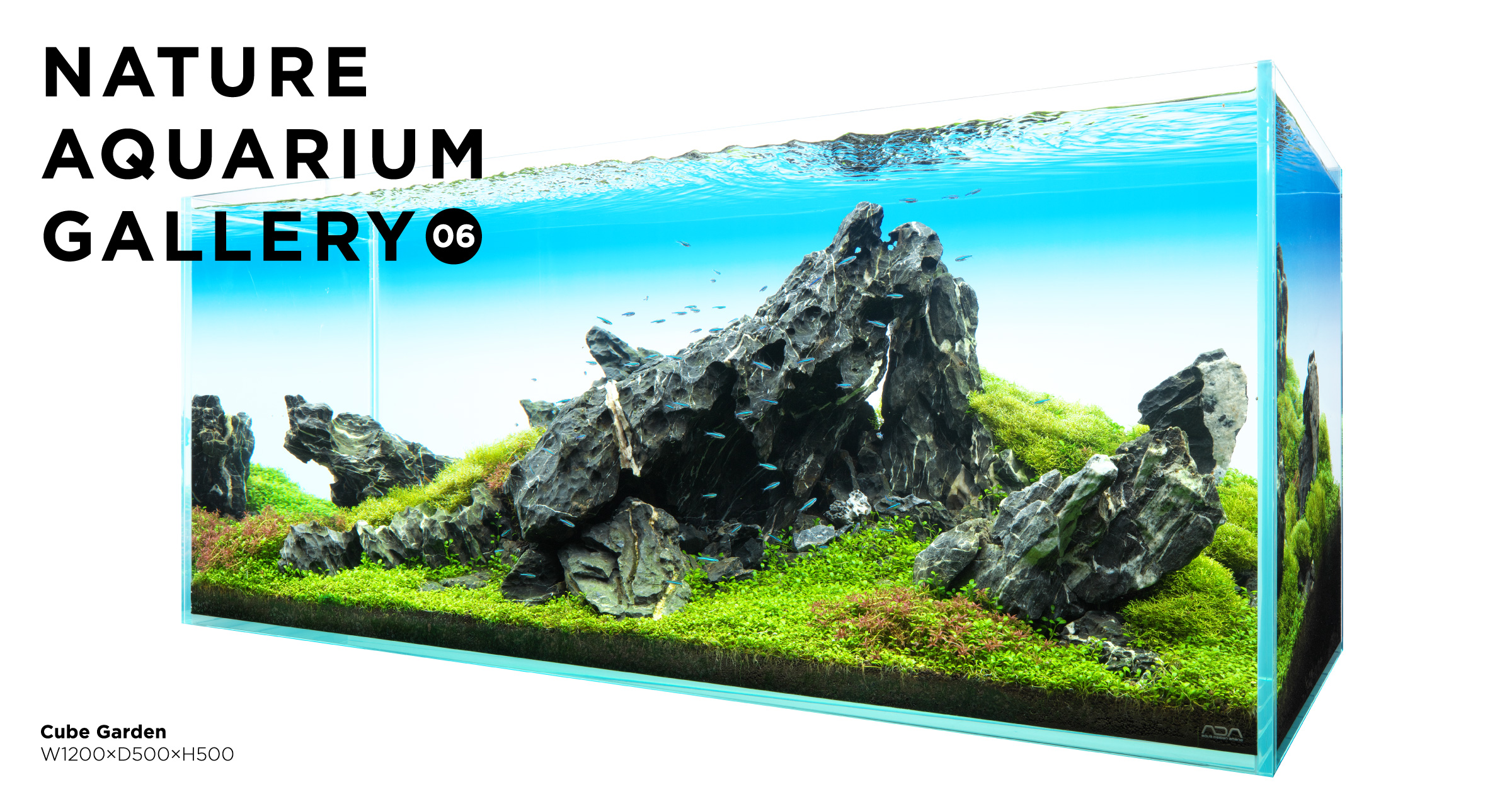 NATURE AQUARIUM GALLERY #06 「大波岩」 | AQUA DESIGN AMANO