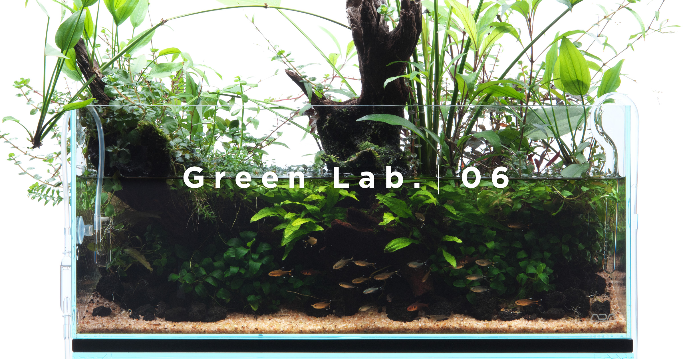Green Lab. #06 ［ 憩いの水辺 ］ | AQUA DESIGN AMANO