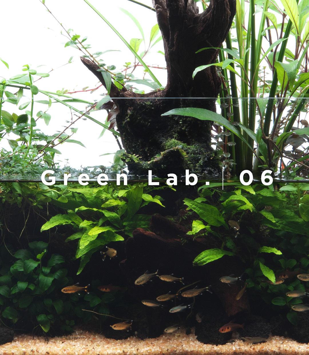 Green Lab. #06 ［ 憩いの水辺 ］