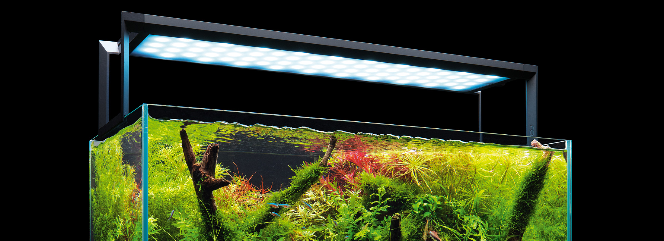 アクアスカイ 新旧モデルの比較 ： 白色LEDとRGB LEDの違い