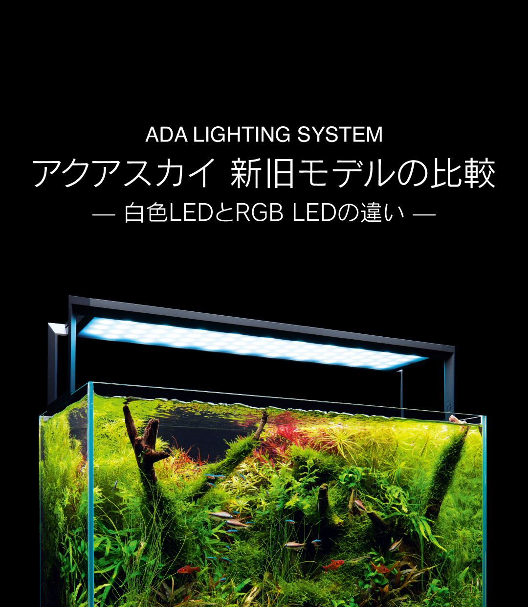 アクアスカイ 新旧モデルの比較 ： 白色LEDとRGB LEDの違い
