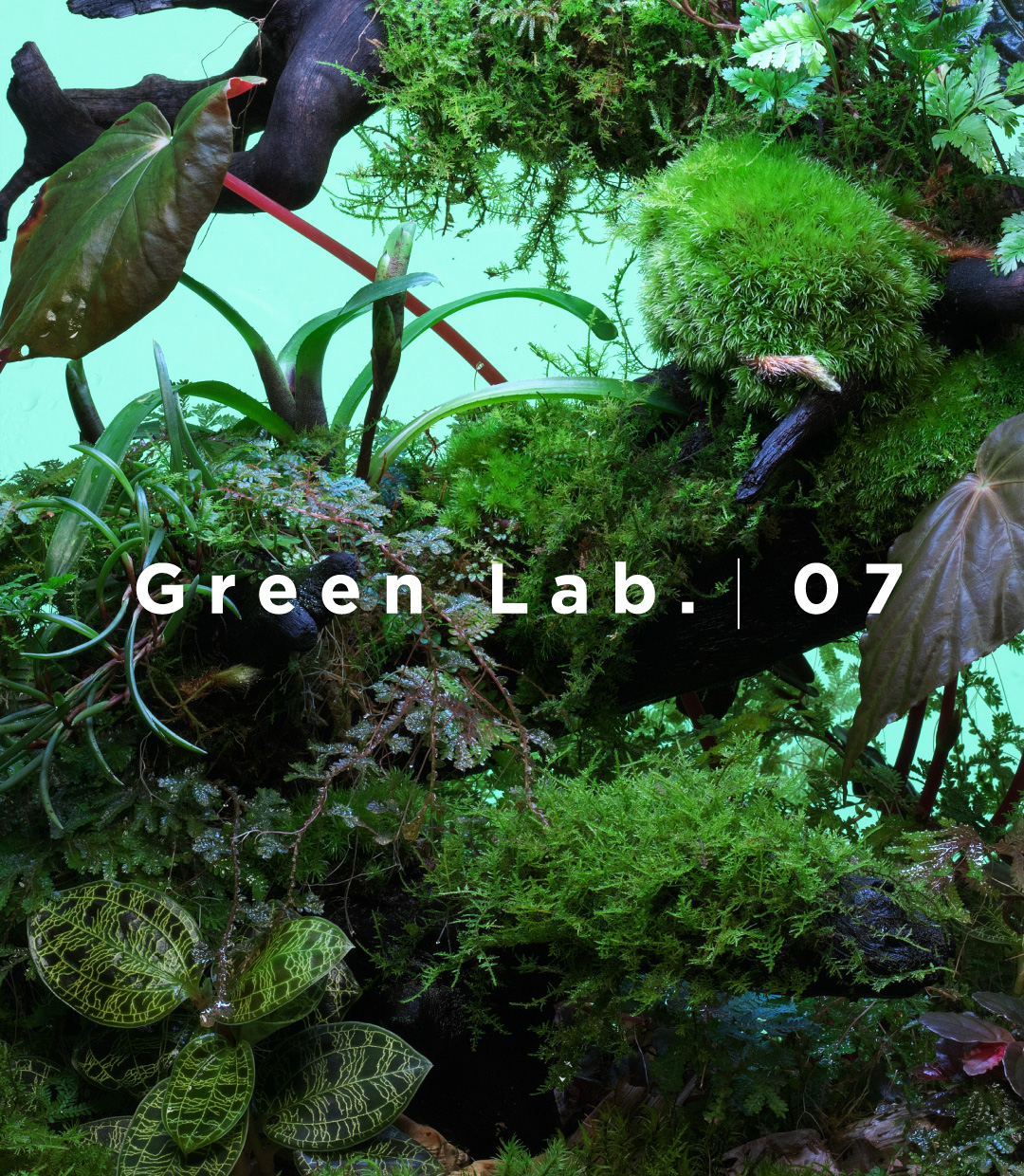 Green Lab. #07 ［ 森の吊り橋 ］