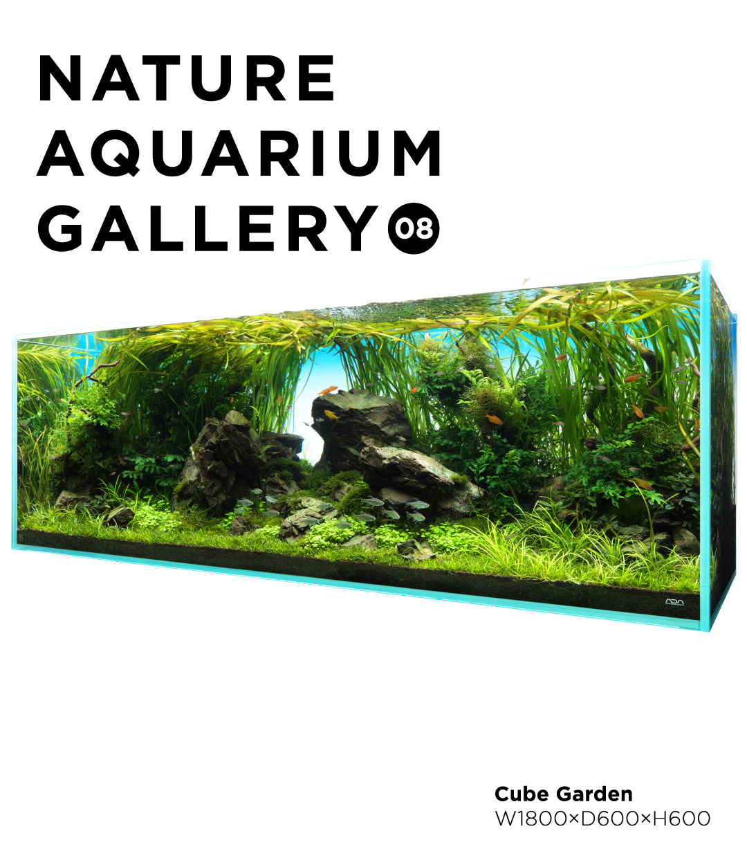 NATURE AQUARIUM GALLERY #08 「スピリット・オブ・ネイチャー」