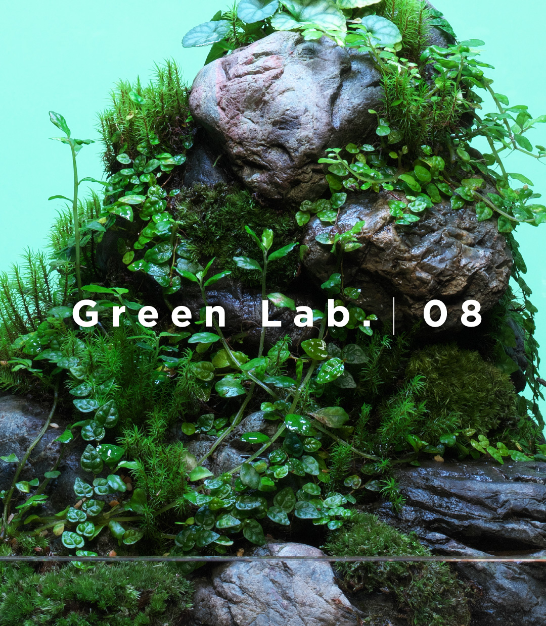 Green Lab. #08 ［ 苔の息づく石群 ］