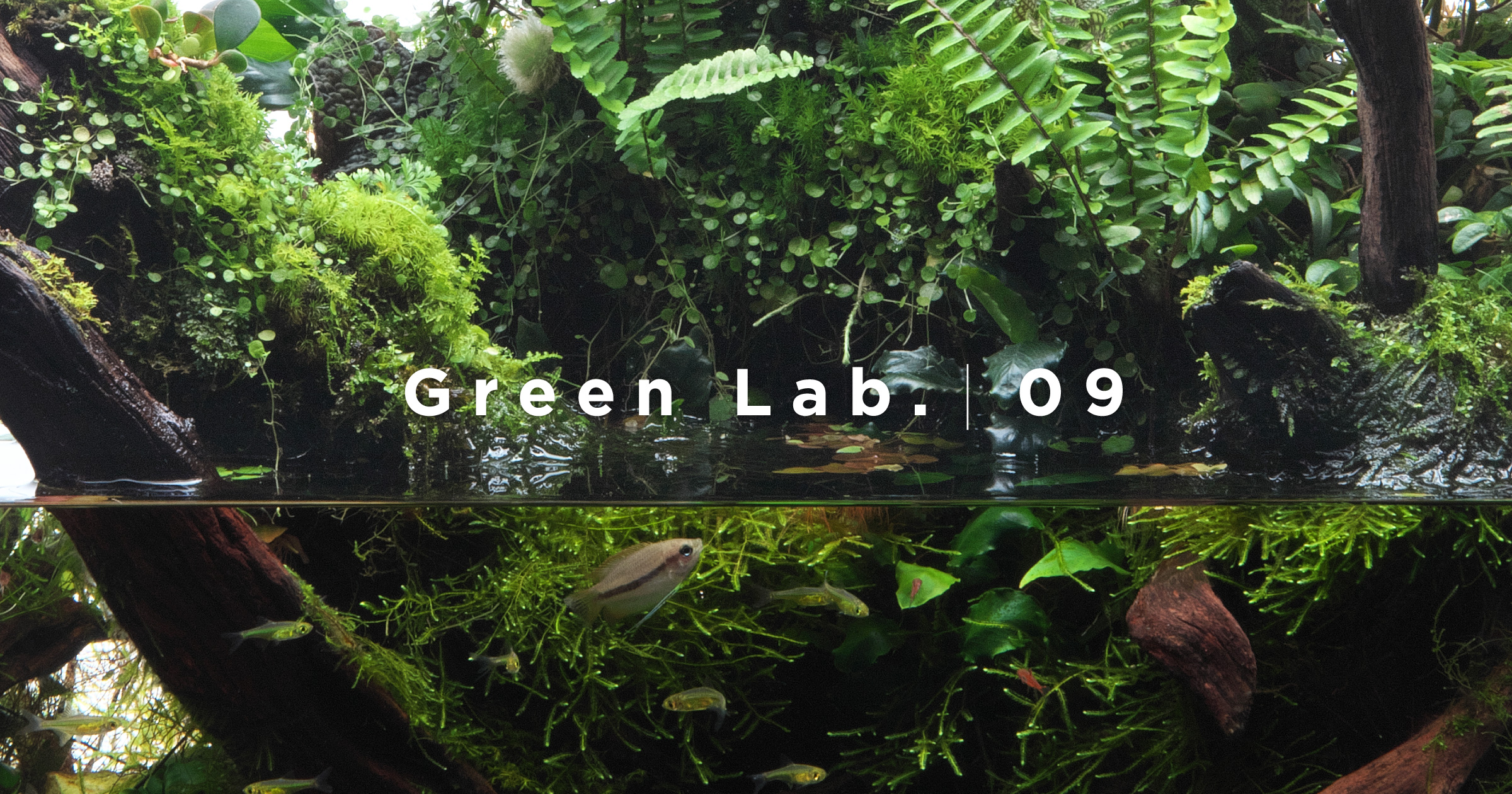 Green Lab. #09 ［ 水上の森 ］ | AQUA DESIGN AMANO