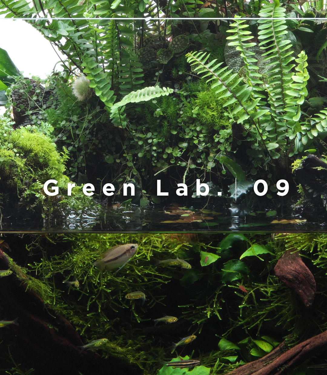 Green Lab. #09 ［ 水上の森 ］